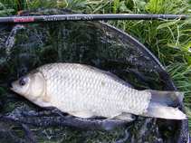 foto/diskuze/feeder/2011/th-img42167.jpg
