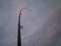 foto/diskuze/feeder/2011/th-img42192.jpg