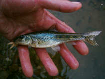 foto/diskuze/feeder/2011/th-img42608.jpg