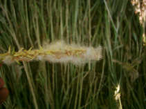 foto/diskuze/feeder/2011/th-img42612.jpg