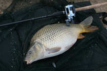 foto/diskuze/feeder/2011/th-img44925.jpg