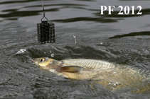foto/diskuze/feeder/2011/th-img46591.jpg