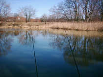 foto/diskuze/feeder/2012/th-img47816.jpg