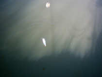 foto/diskuze/feeder/2012/th-img47817.jpg