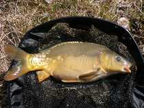 foto/diskuze/feeder/2012/th-img48055.jpg