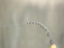 foto/diskuze/feeder/2012/th-img48063.jpg