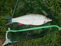 foto/diskuze/feeder/2012/th-img48951.jpg
