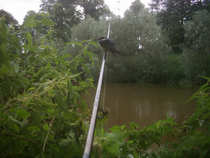 foto/diskuze/feeder/2012/th-img49012.jpg