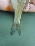 foto/diskuze/feeder/2012/th-img49039.jpg