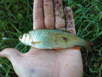 foto/diskuze/feeder/2012/th-img49040.jpg