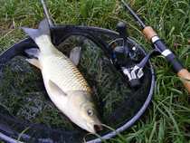 foto/diskuze/feeder/2012/th-img49368.jpg