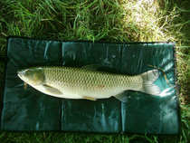 foto/diskuze/feeder/2012/th-img49841.jpg