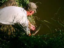 foto/diskuze/feeder/2012/th-img49842.jpg