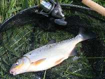 foto/diskuze/feeder/2012/th-img50936.jpg