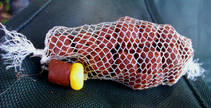 foto/diskuze/feeder/2013/th-img101226.jpg