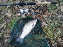 foto/diskuze/feeder/2013/th-img103914.jpg