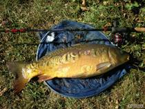 foto/diskuze/feeder/2013/th-img92312.jpg