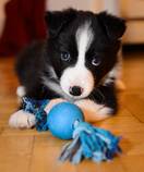 foto/diskuze/feeder/2014/th-img106321.jpg