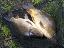 foto/diskuze/feeder/2014/th-img107143.jpg