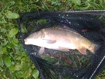 foto/diskuze/feeder/2014/th-img108830.jpg