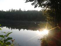 foto/diskuze/feeder/2014/th-img108831.jpg