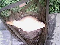 foto/diskuze/feeder/2014/th-img110270.jpg