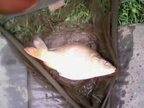 foto/diskuze/feeder/2014/th-img110271.jpg