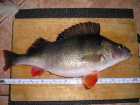 foto/diskuze/hradec_kralove_a_okoli/2009/th-img22922.jpg