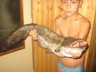 foto/diskuze/hradec_kralove_a_okoli/2009/th-img25657.jpg