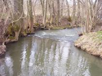 foto/diskuze/hradec_kralove_a_okoli/2010/th-img32665.jpg