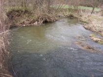 foto/diskuze/hradec_kralove_a_okoli/2010/th-img32666.jpg