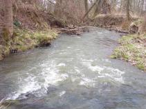 foto/diskuze/hradec_kralove_a_okoli/2010/th-img32667.jpg
