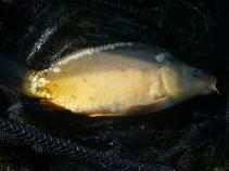 foto/diskuze/hradec_kralove_a_okoli/2010/th-img33017.jpg