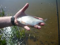 foto/diskuze/hradec_kralove_a_okoli/2010/th-img33024.jpg