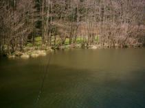 foto/diskuze/hradec_kralove_a_okoli/2010/th-img33295.jpg