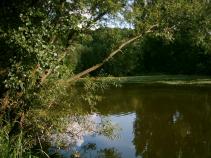 foto/diskuze/hradec_kralove_a_okoli/2010/th-img33298.jpg