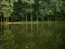 foto/diskuze/hradec_kralove_a_okoli/2010/th-img33490.jpg