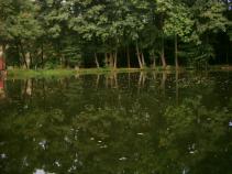 foto/diskuze/hradec_kralove_a_okoli/2010/th-img33491.jpg