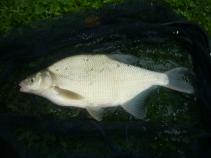 foto/diskuze/hradec_kralove_a_okoli/2010/th-img33604.jpg