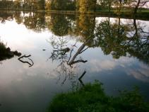 foto/diskuze/hradec_kralove_a_okoli/2010/th-img33821.jpg