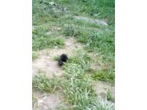 foto/diskuze/hradec_kralove_a_okoli/2010/th-img33856.jpg