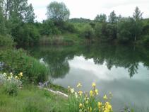 foto/diskuze/hradec_kralove_a_okoli/2010/th-img34693.jpg