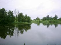 foto/diskuze/hradec_kralove_a_okoli/2010/th-img36437.jpg