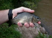 foto/diskuze/hradec_kralove_a_okoli/2010/th-img37194.jpg