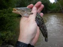 foto/diskuze/hradec_kralove_a_okoli/2010/th-img37196.jpg