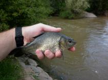 foto/diskuze/hradec_kralove_a_okoli/2010/th-img37197.jpg