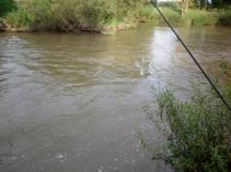 foto/diskuze/hradec_kralove_a_okoli/2010/th-img37198.jpg