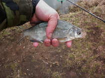 foto/diskuze/hradec_kralove_a_okoli/2011/th-img41429.jpg