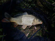 foto/diskuze/hradec_kralove_a_okoli/2011/th-img42439.jpg