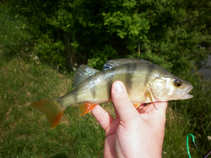 foto/diskuze/hradec_kralove_a_okoli/2011/th-img42440.jpg